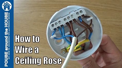 ceiling rose junction box wiring|ceiling rose light fitting bunnings.